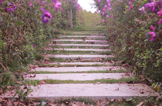 花园小径，带你探索花园里的一步一景