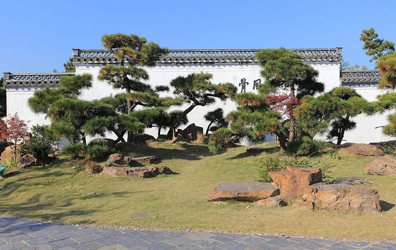 【盆景赏】来自国内最大的私家盆景花园——鲍家花园