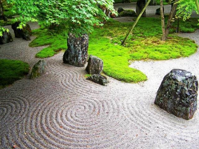 如何在花园里大面积种植苔藓（附方法和技巧）